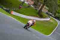 anglesey;brands-hatch;cadwell-park;croft;donington-park;enduro-digital-images;event-digital-images;eventdigitalimages;mallory;no-limits;oulton-park;peter-wileman-photography;racing-digital-images;silverstone;snetterton;trackday-digital-images;trackday-photos;vmcc-banbury-run;welsh-2-day-enduro